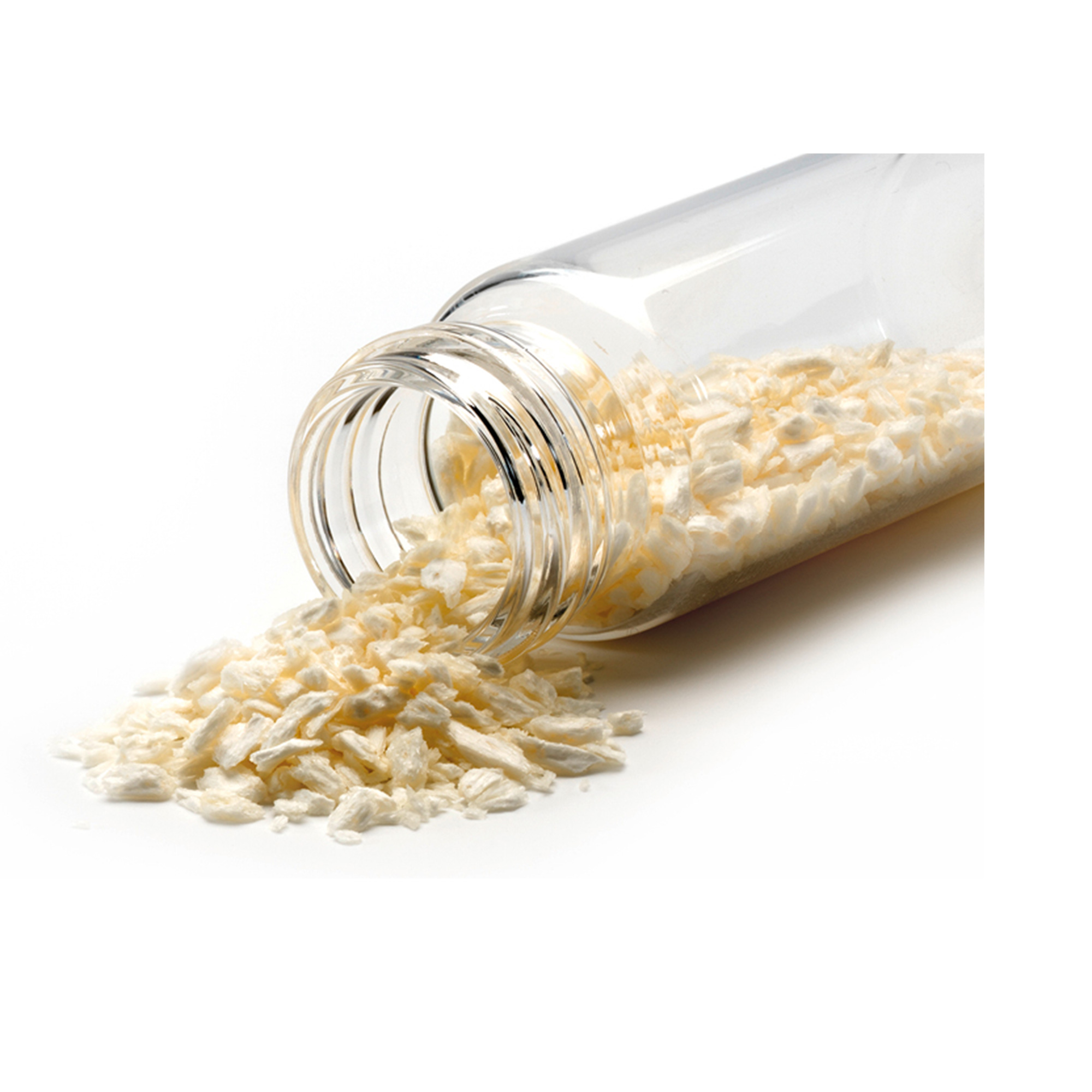 עצם אלוגרפט